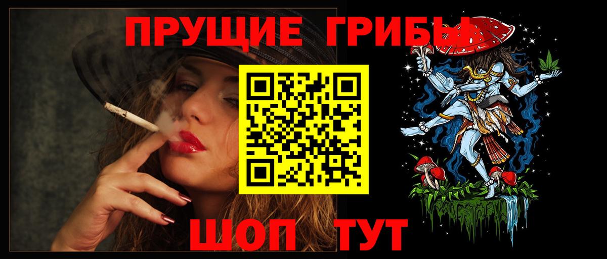 Псилоцибиновые грибы Psilocybine cubensis Электрогорск