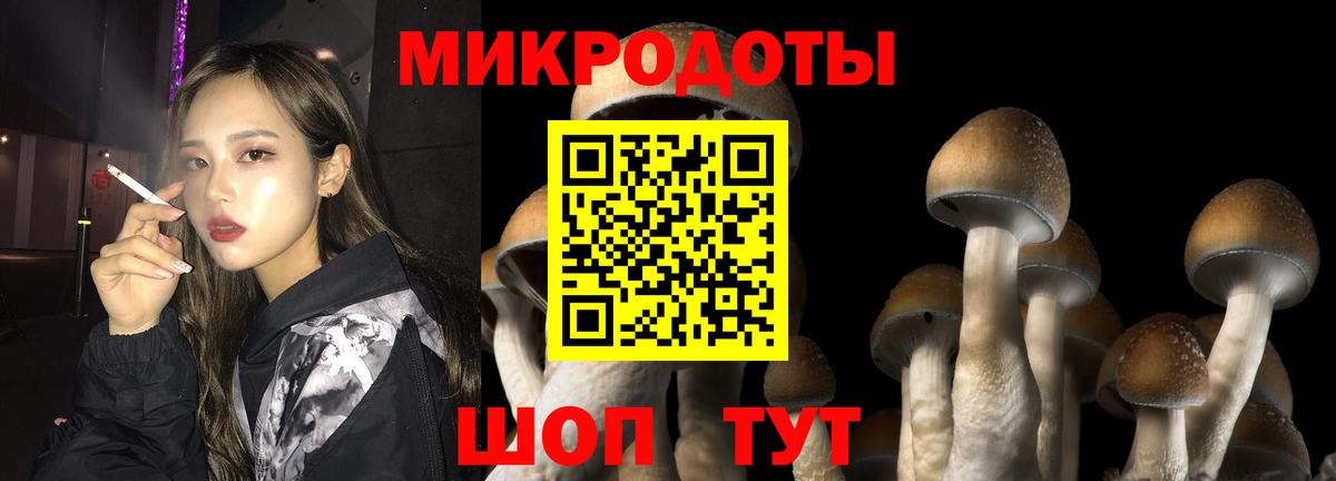 Галлюциногенные грибы Psilocybe  Вход с VPN  как найти наркотики  Электрогорск  Галлюциногенные грибы Magic Shrooms 